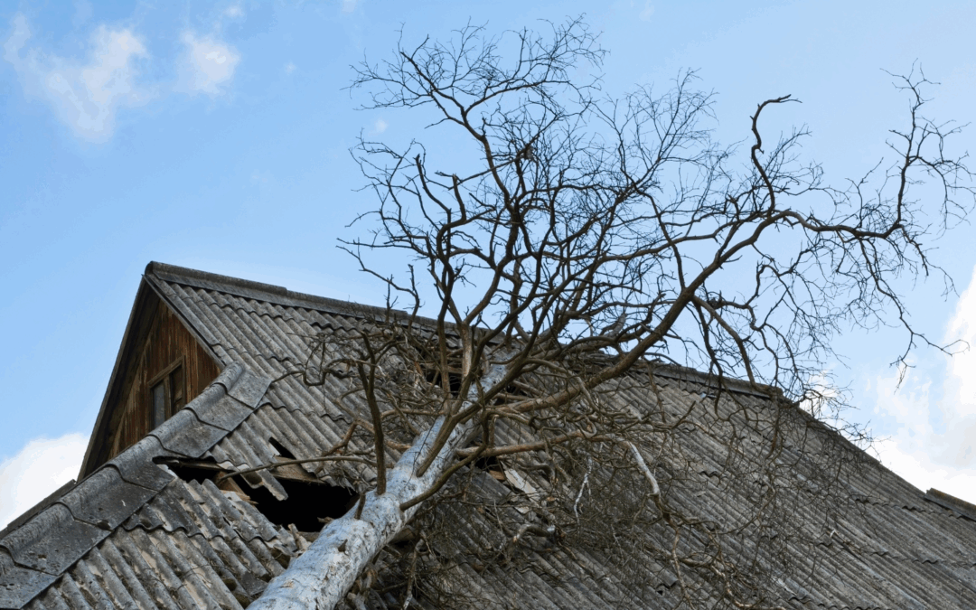 Maximizing Your Payout: Expert Tips for Storm-Damaged Home and Commercial Property Claims