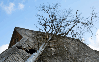 Maximizing Your Payout: Expert Tips for Storm-Damaged Home and Commercial Property Claims