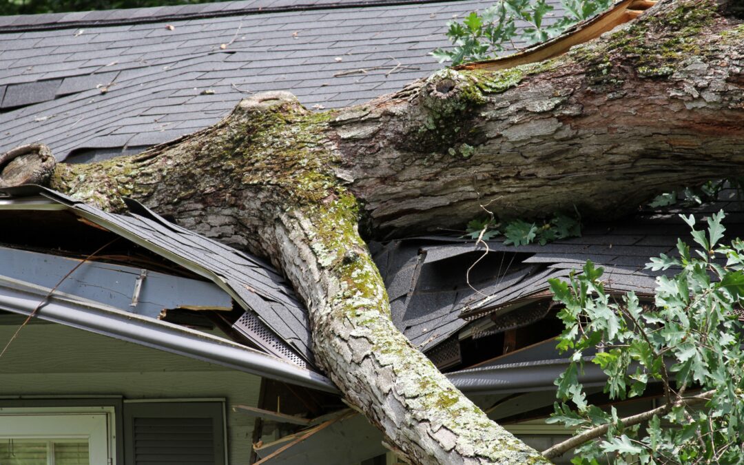 The Best Wind Damage Repair Tips for Omaha Homeowners