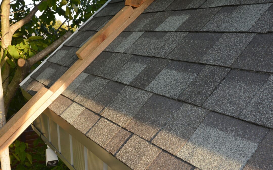 Siding Damage 101: When a Small Crack Can Lead to Major Problems