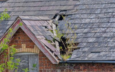 How to Read Your Roof A Practical Guide for Omaha Property Owners and Landlords