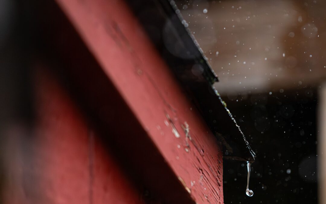 How to Prevent Roof Leaks in Homes: Common Mistakes and Expert Tips for Omaha Property Owners