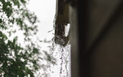 The Best Gutter Solutions to Prevent Roof Damage in Omaha (and Avoid Costly Repairs)