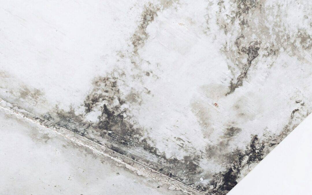 Ceiling Stains After a Storm? Roof Leaks in Omaha Homes