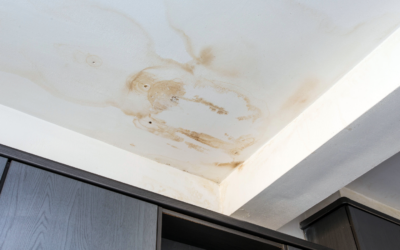 Ceiling Stains After a Storm? Essential Tips for Omaha Homeowners